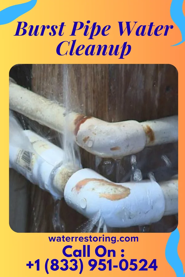Burst Pipe Water Cleanup in Baneberry, TN